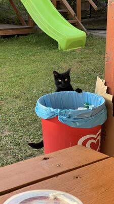 20250817 LH 25-08-17 07-40-23 7894